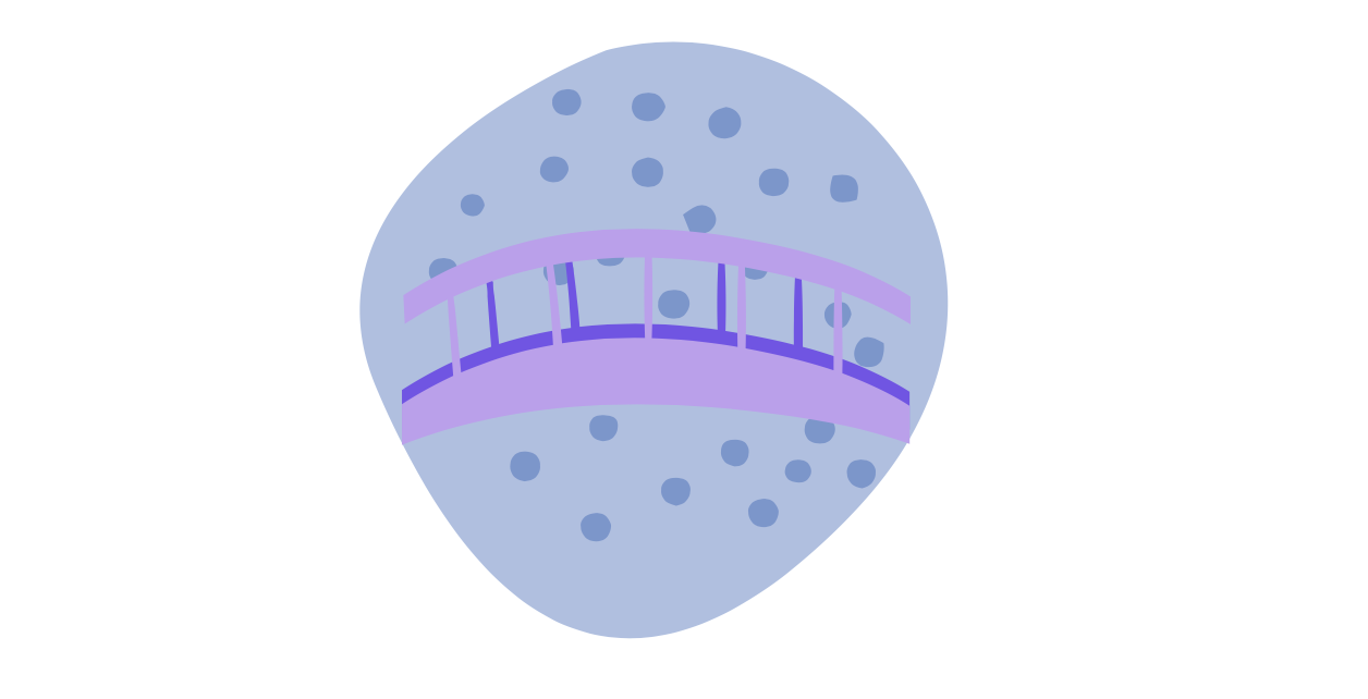 bridge3.png